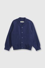 674f1e74-6ca9-4821-b329-cf65582baf35-chla0151v25-1