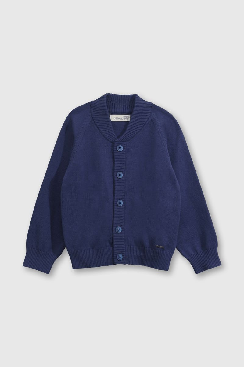 674f1e74-6ca9-4821-b329-cf65582baf35-chla0151v25-1