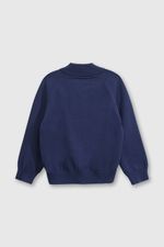 1703247f-f854-4373-9577-b8cb3f5b0360-chla0151v25-2