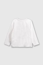 29569f08-5bdb-42eb-bf11-ac5de68e6d8b-poje8509v25-2