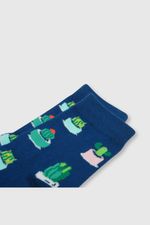 bc09c9f6-8549-46fb-a7bb-00af72d3cc85-c3pe0650v24-2