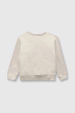 589647f1-67f8-4da8-b382-b53dcd1a9209-plpo4266v24-2