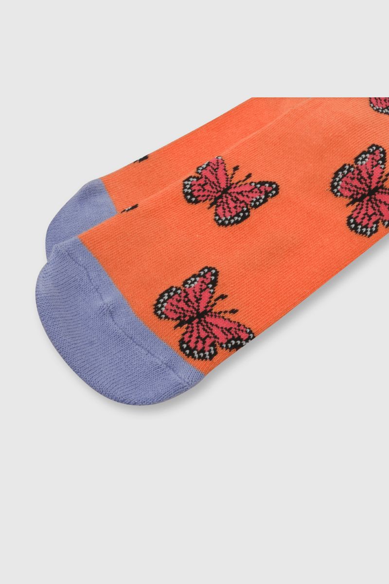 97c4137f-a7f2-4ede-8243-647feb99a519-c3pe2040v24-2