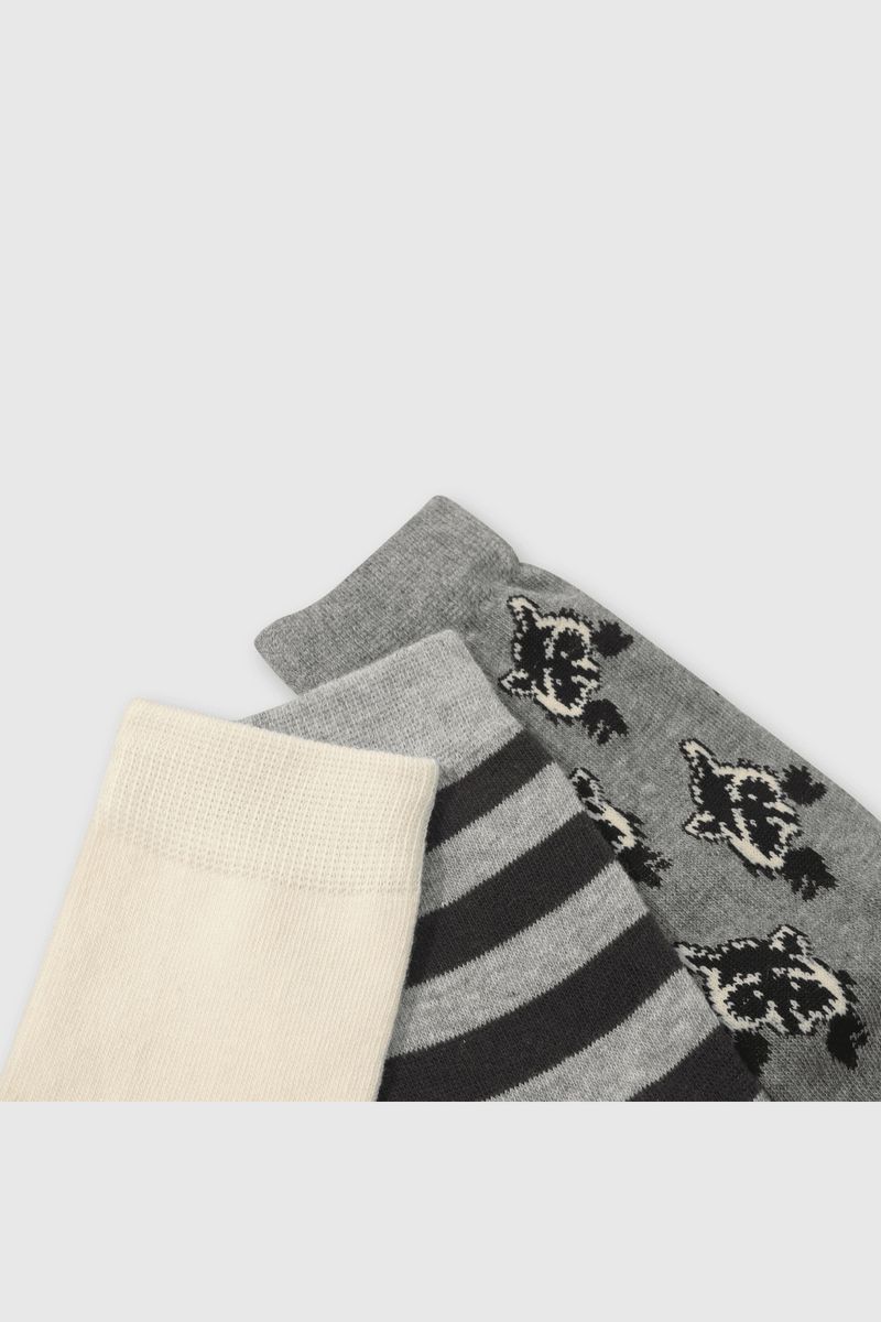 15623156-8d25-432f-908a-a1e8deae5393-c3pe2901i24-2