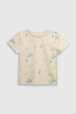 65110547-40d7-4fd1-8cc7-62a1fce09b61-p1je1775v25-1