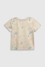 434675ad-b1ce-4066-a114-c1250936707f-p1je1775v25-2