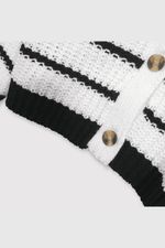 0f57321c-2430-413f-9b99-b41fe1ea3a31-chla0209v25-3