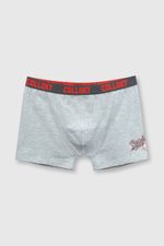 eb7e8214-4484-40ca-8404-eea060396abe-bxsx1111v24-3