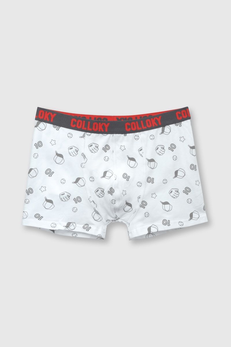 eb815c50-8a2f-4a6b-a488-1848ef085511-bxsx1111v24-2