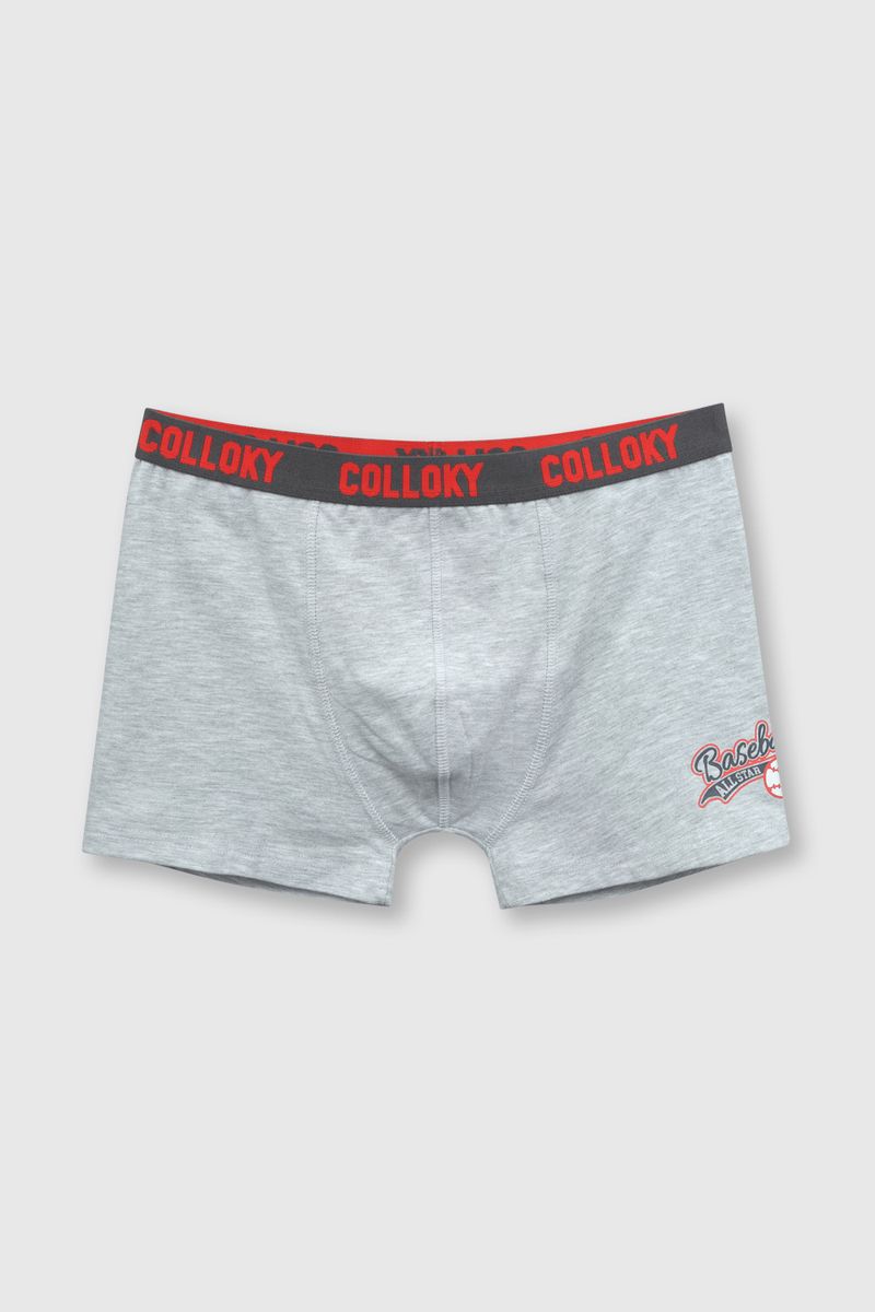 eb7e8214-4484-40ca-8404-eea060396abe-bxsx1111v24-3