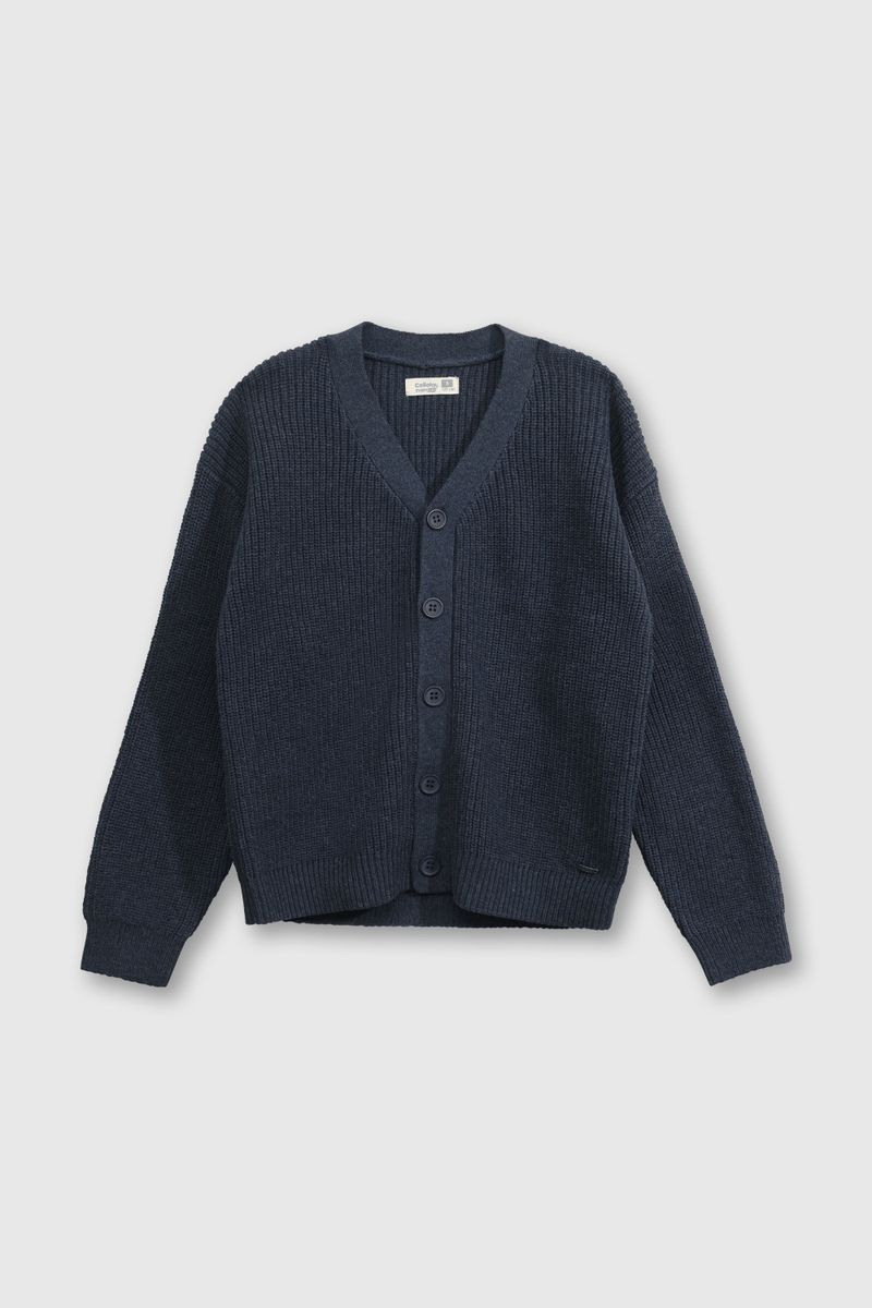 235ba356-2158-4d10-8275-d484ceac51ed-chla0551v25-1