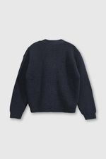 885febb4-9a51-404b-be83-0c343138eeb4-chla0551v25-2