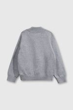 797c25ca-8679-4e21-b787-550143e5420b-chla0106v25-2