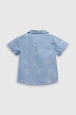 17823e0c-35c8-4ada-88c1-b1dec6c7bb20-capn0559v25-2