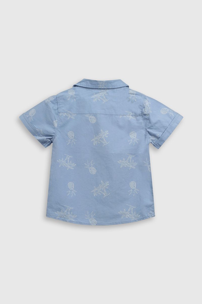 17823e0c-35c8-4ada-88c1-b1dec6c7bb20-capn0559v25-2