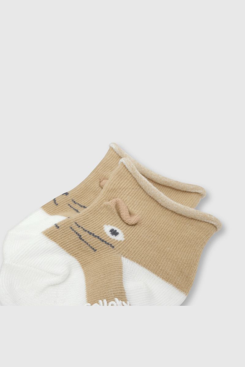 43c5ce0c-1434-4c42-aecb-b7f3468d908d-c2pe0311v24-2