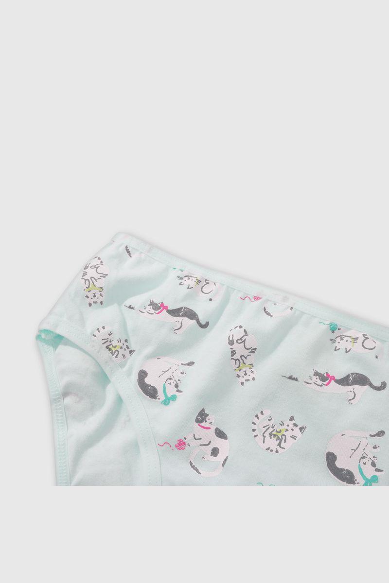 a87f7625-9488-4d1e-96cc-30e361a83825-czsx0856v25-5