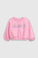 ca831f7f-e41c-4ab2-85b5-7a19231f38eb-plpo3080v25-1