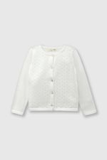 0c0aa552-6346-46d9-9e53-4950aa778850-chla0610v24-1