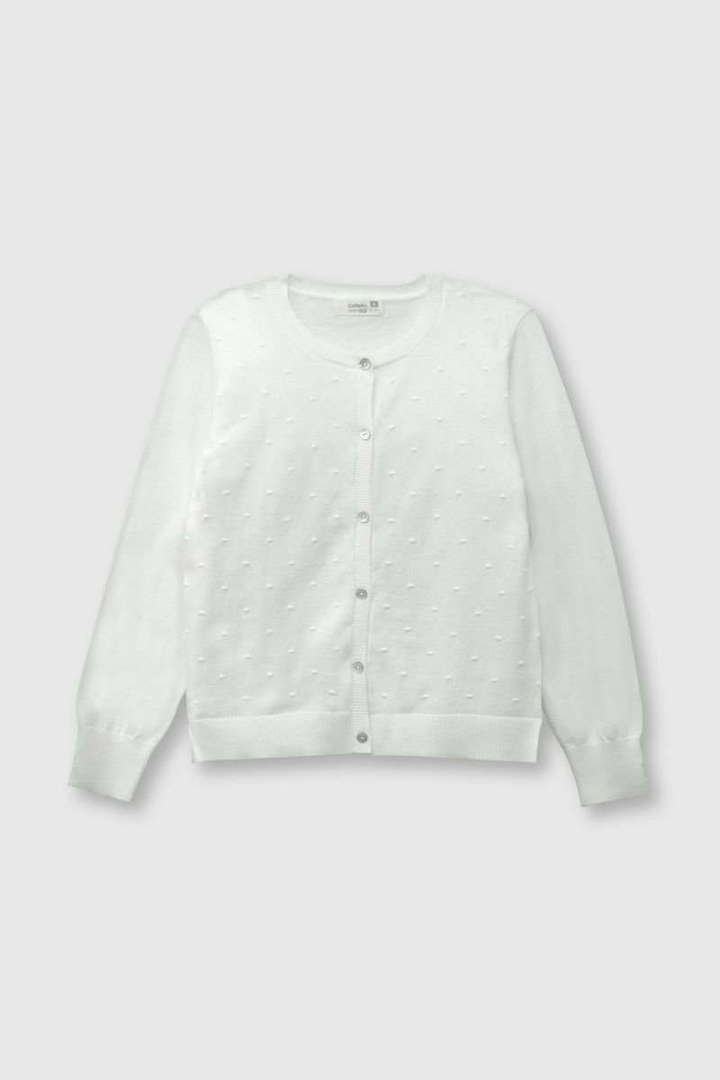 809cf104-3040-4fff-9134-c3791b396a25-chla0410v24-1