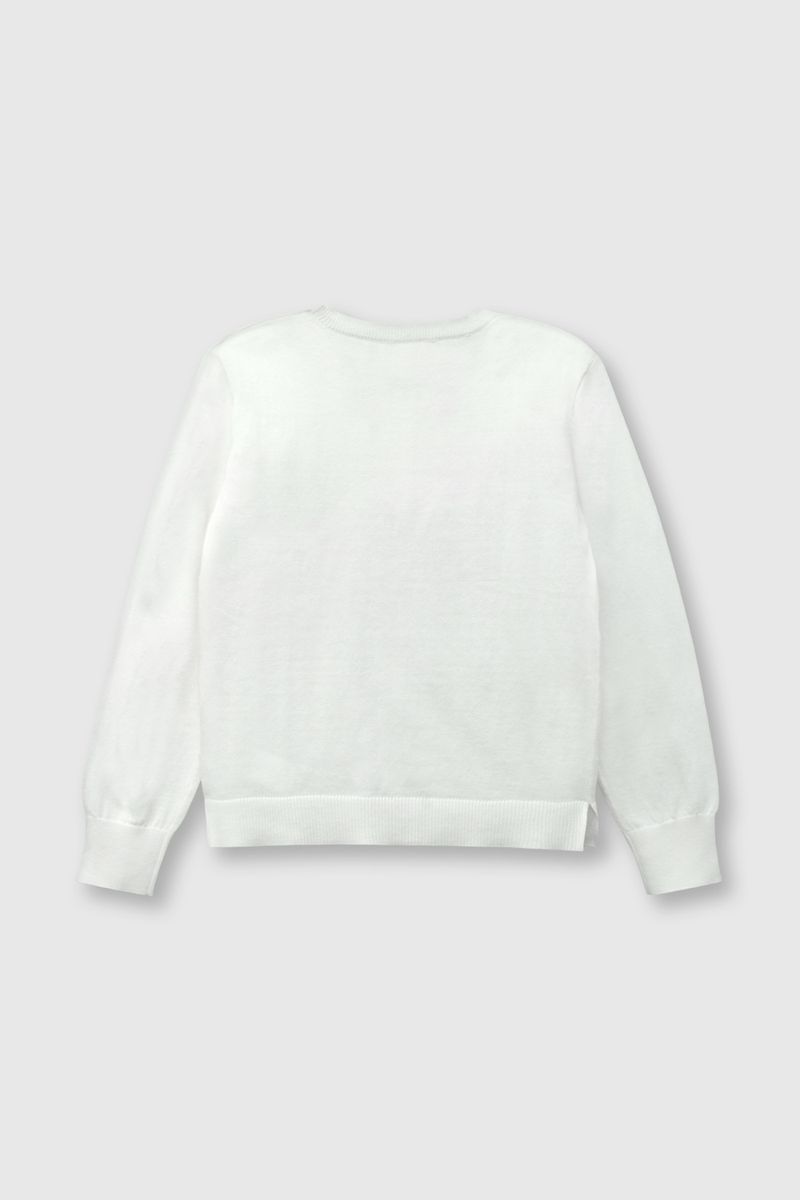 42d9b4b8-1e5e-4ecb-ac28-672b72036a68-chla0410v24-2