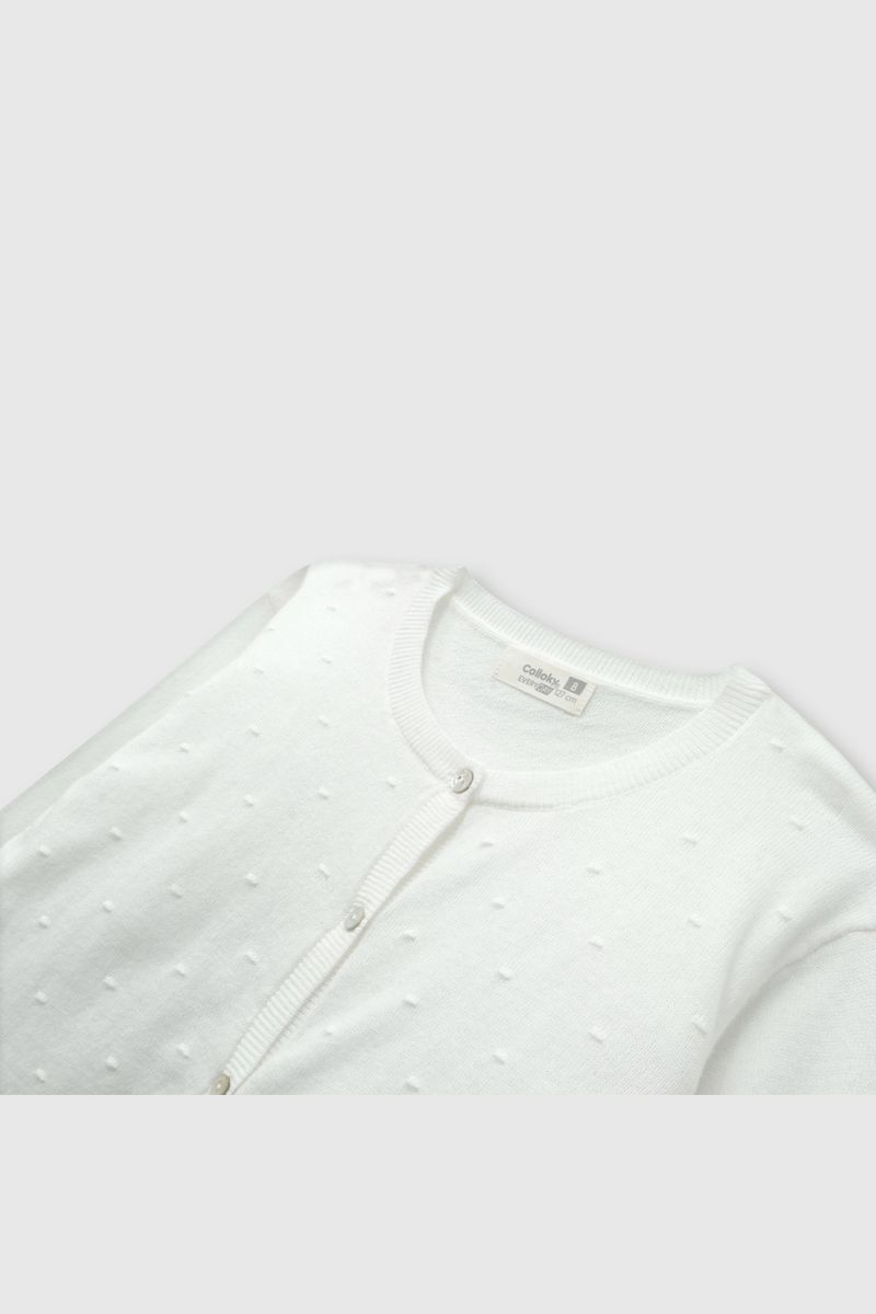 f924774e-1ad9-48e8-ad14-f8578041cf48-chla0410v24-3