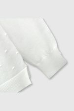 c5a40f22-fca9-453a-926c-93cb73a8536f-chla0410v24-4