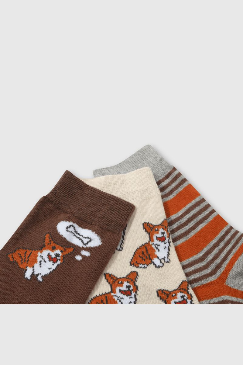 e583536b-41a9-427b-8cea-091080795120-c3pe2166i24-2