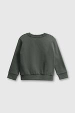 405fa784-dfdd-47bf-88d3-00e96372c69c-plpo8311i24-2