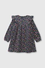 183f4816-3ff8-41b6-90a1-7f3ef647657a-vepo0250i24-2