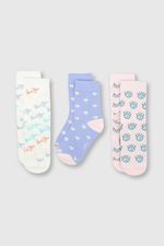 786762ce-b3a4-42c5-a5be-6dbe58391e4b-c3pe1030v24-1