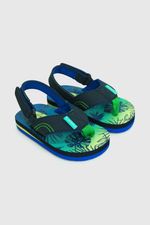 5c9e6519-8c64-43b2-a9e6-56c18998dc08-43250250v24-1