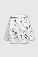 f6587d7b-dca7-4a8d-8d7a-e4ca7d8dee55-plpo1511i24-1