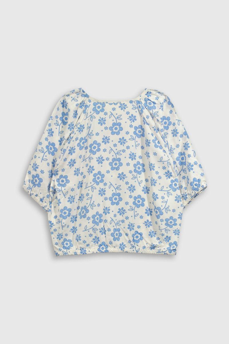 739c10e5-0a4b-4836-b61d-4c82b68e78e1-blvs0278v25-2