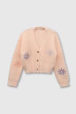 3c0f0239-271c-452d-8c8f-f7d84b81afcd-chla0683i24-1