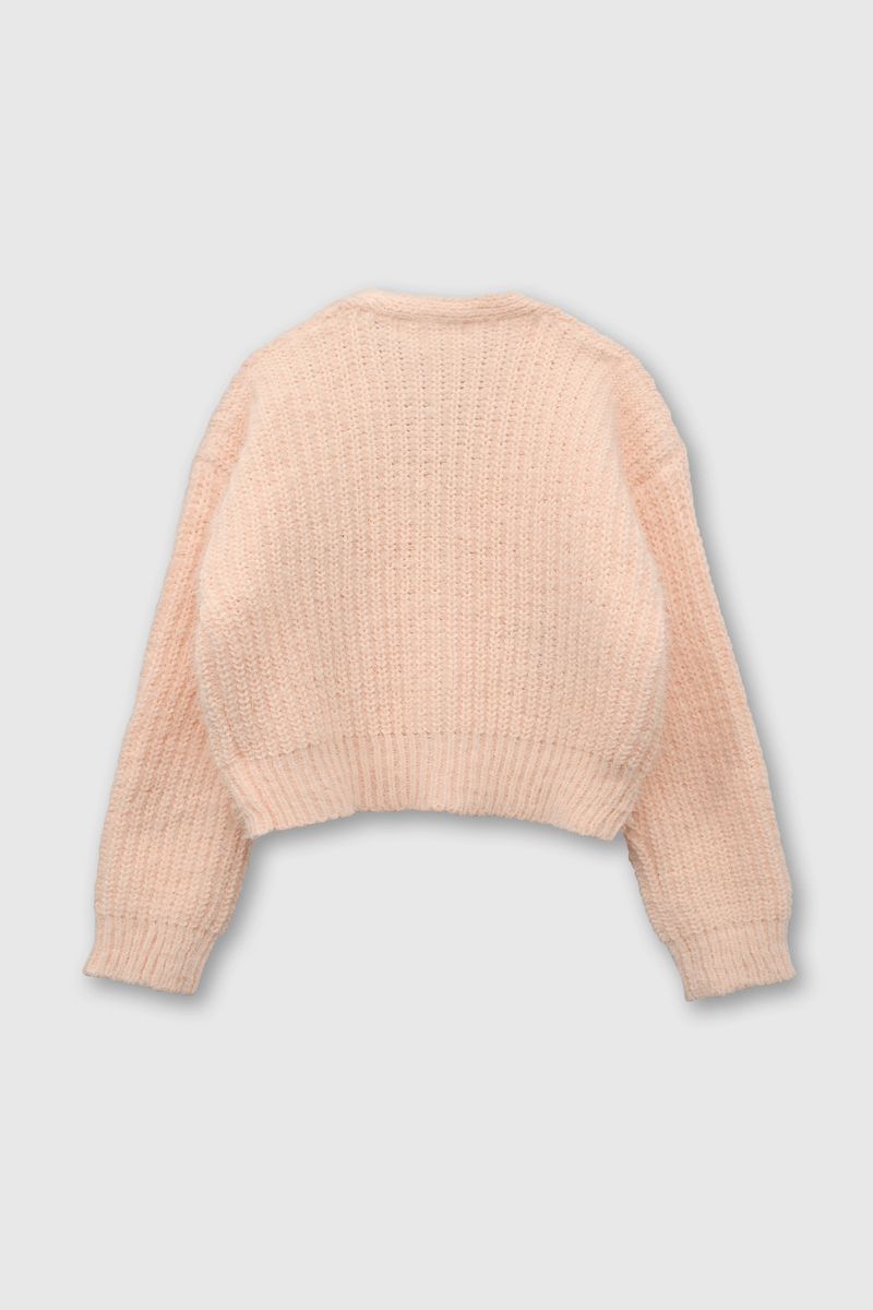 9d8a00b3-8a0f-49f1-9fe1-fb52f3722fe7-chla0683i24-2