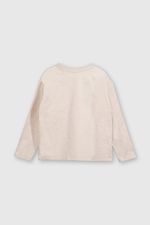 87069bce-f0a2-4a08-9ba0-e603f094970c-p1je6576v25-2