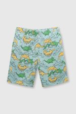 055080e9-b022-4e45-b254-b0ead107ec81-pjje0970v24-3