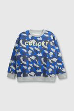 8f200fac-d181-47fc-9a5e-01cd323679e9-plpo3750i24-1