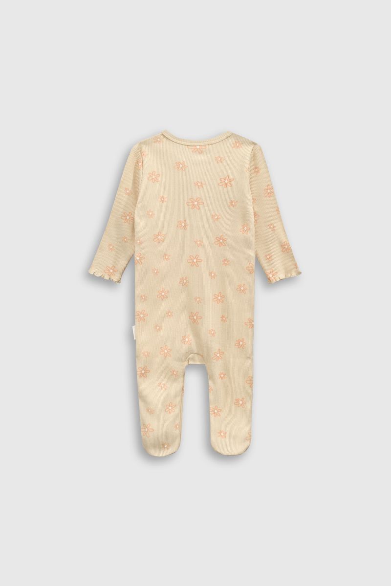 a533e11c-e20c-48d6-be49-334cd63ad5d3-olpu0443v25-2