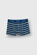 dc1f305d-1691-4378-a659-04034eb1ac42-bxsx0559i25-2