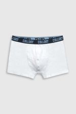 c1c08e3b-f6e0-48f7-92e6-2d83eda25112-bxsx1358v25-3