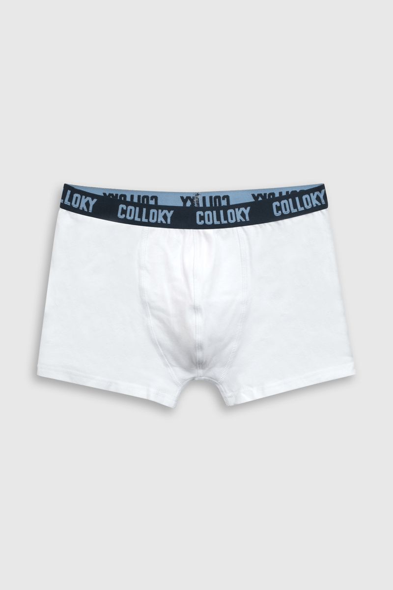 c1c08e3b-f6e0-48f7-92e6-2d83eda25112-bxsx1358v25-3