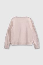 dfdf26c9-2fcb-4c32-97a9-a1e687054cfb-chla0477v25-2