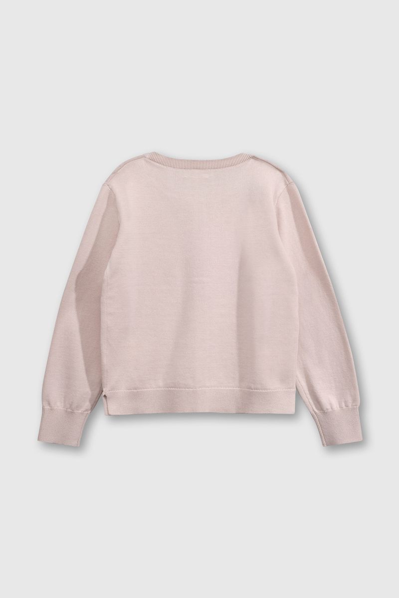 dfdf26c9-2fcb-4c32-97a9-a1e687054cfb-chla0477v25-2