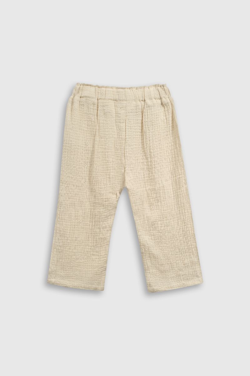 a779d443-04b5-48d6-a2e0-aa67dd0ef088-ptbm0277v25-2