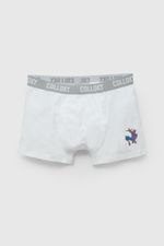 ec2e5e3b-0cf4-4860-8c54-f0f5ef00f3ce-bxsx0911v26-4