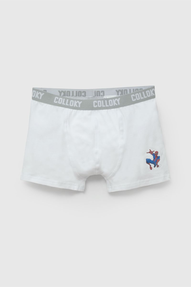 ec2e5e3b-0cf4-4860-8c54-f0f5ef00f3ce-bxsx0911v26-4