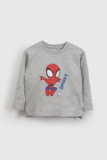 d46cb2aa-e59a-4ed7-8f05-37c74b3d2039-p1je4106v26-1