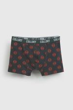 55b21ebb-abf3-4be9-81c3-f7d7472bc1d1-bxsx1182v26-3